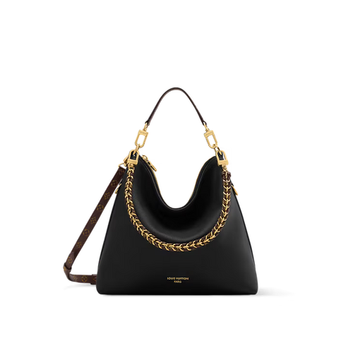 LV Multipass bag